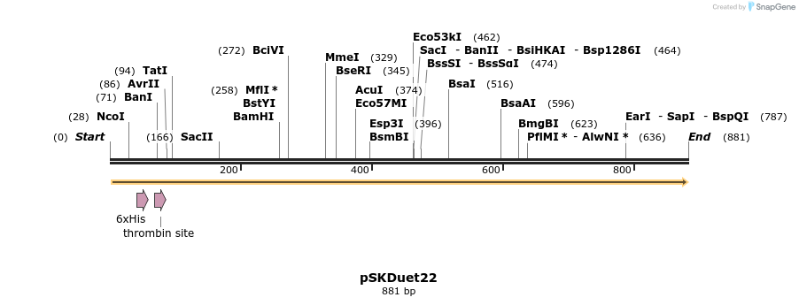 56902_map