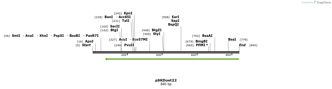 56903_map