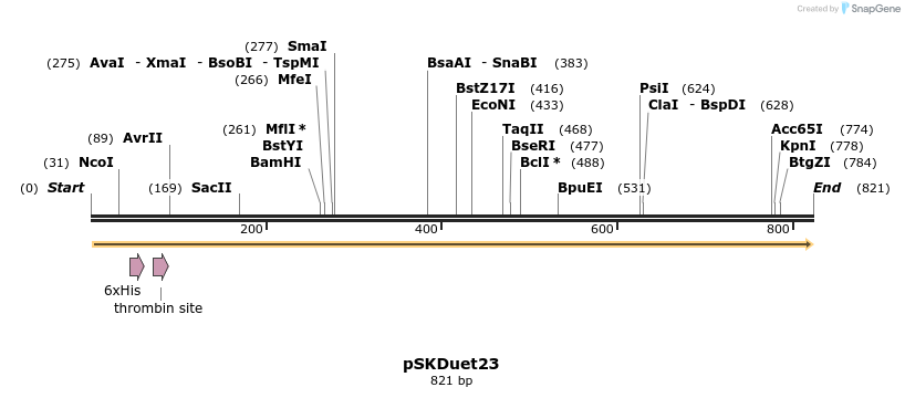 56904_map