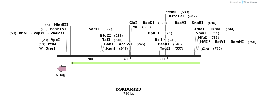56905_map