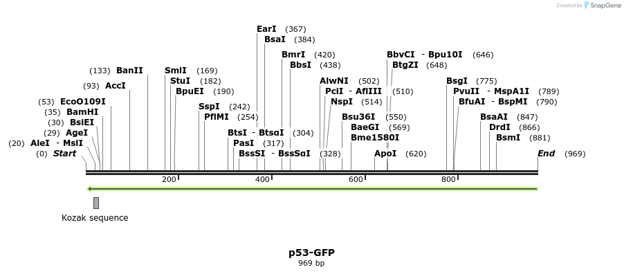 56908_map