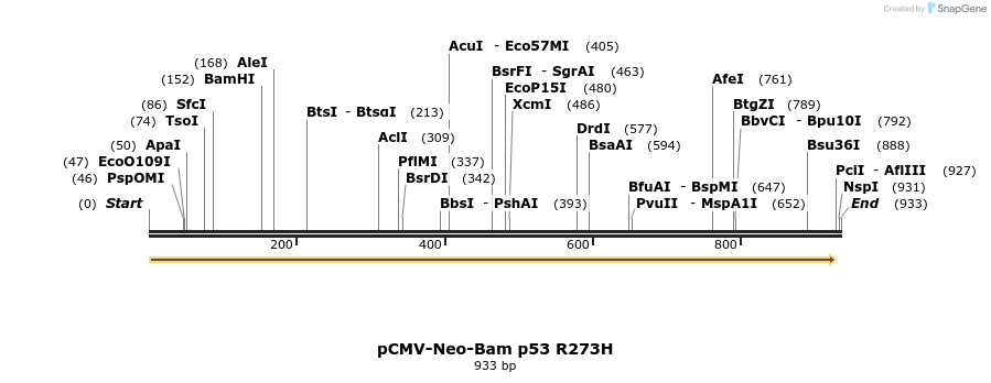 56911_map