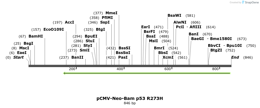 56912_map