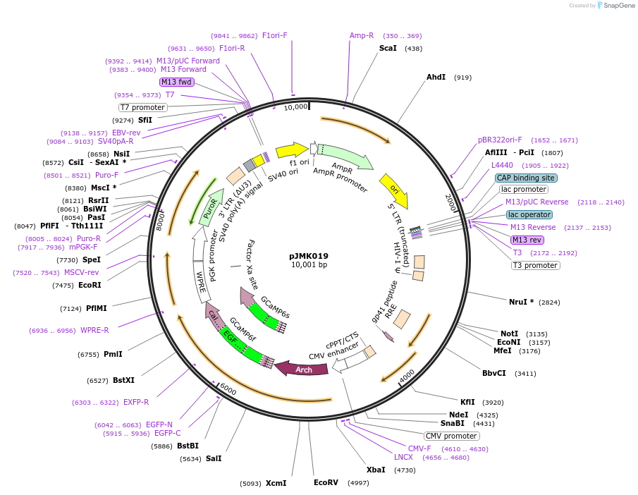 56914_map