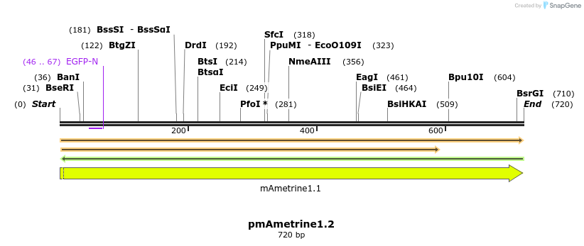 56916_map