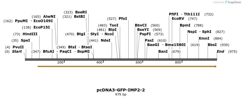 56917_map