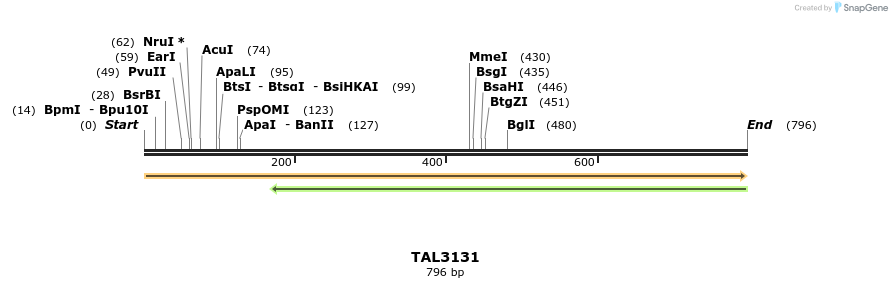 56925_map