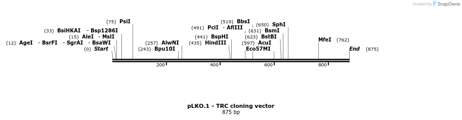 56927_map