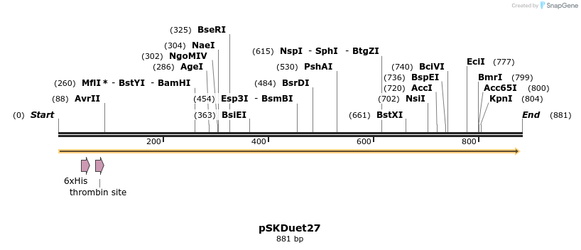 56946_map