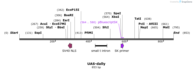 56956_map