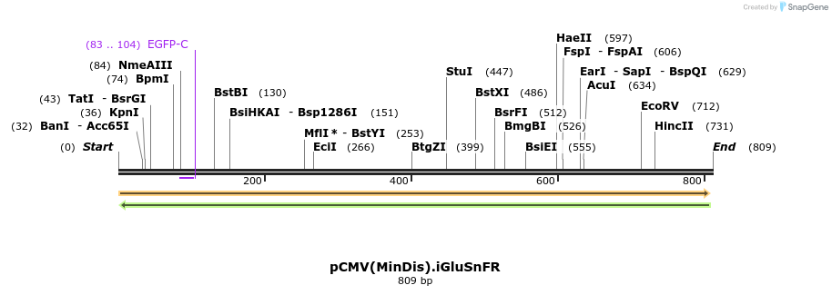 56960_map