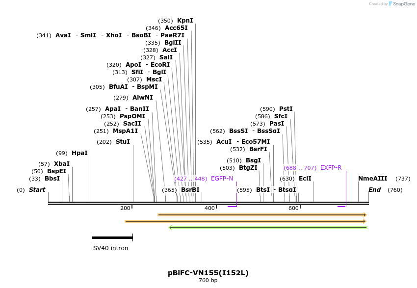 56966_map