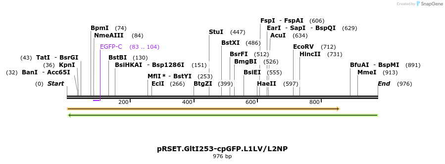 56968_map