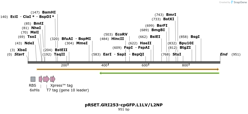 56969_map