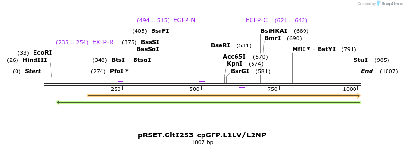 56970_map