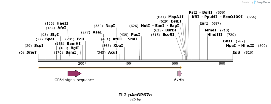 56972_map