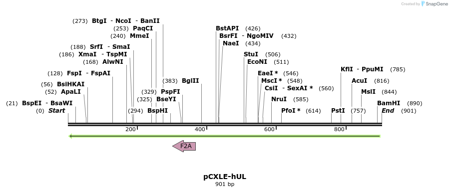 56973_map
