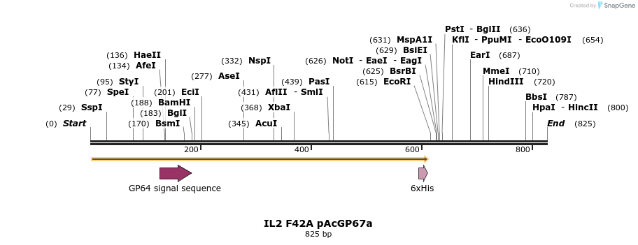 56975_map