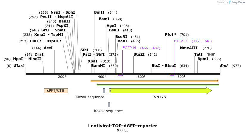 56979_map