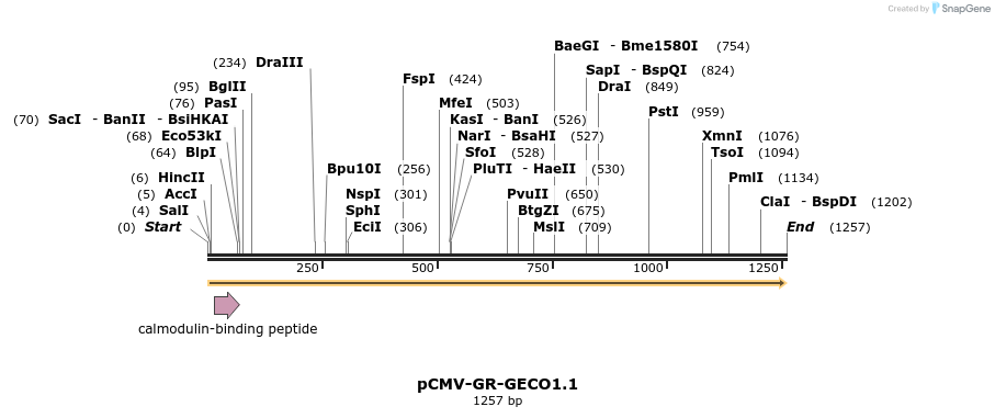 56983_map