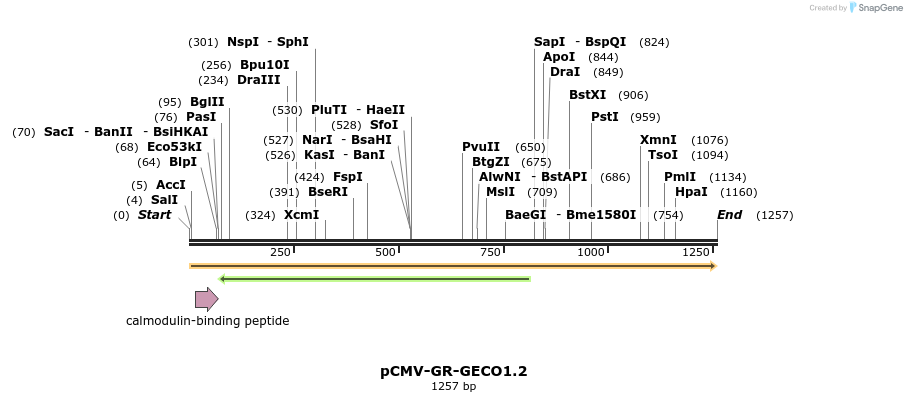 56984_map