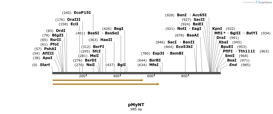 56994_map