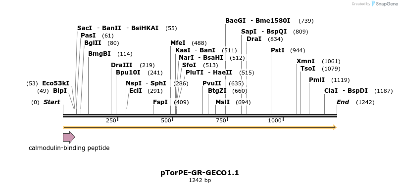 56999_map