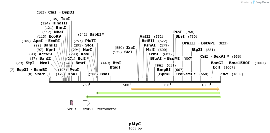 57001_map