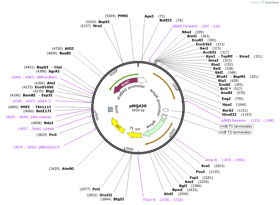 57012_map