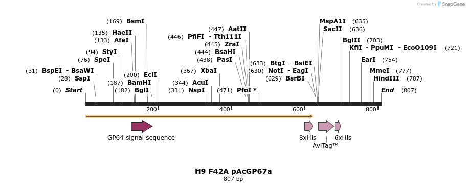 57028_map