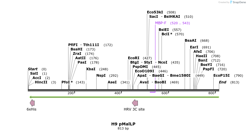 57029_map