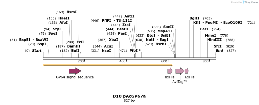 57030_map