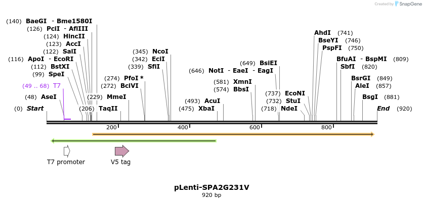 57032_map