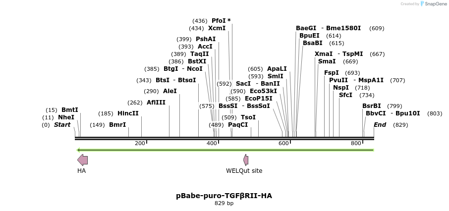 57049_map
