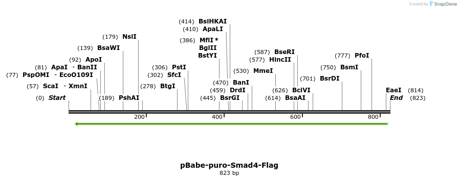 57066_map