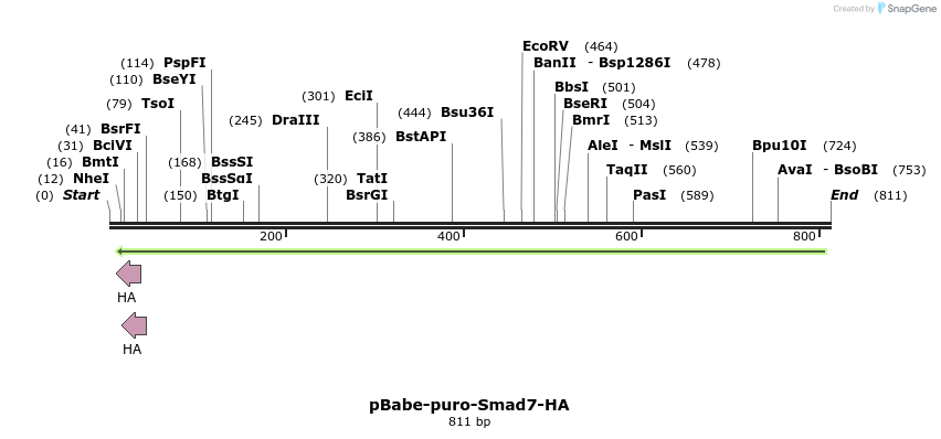 57067_map