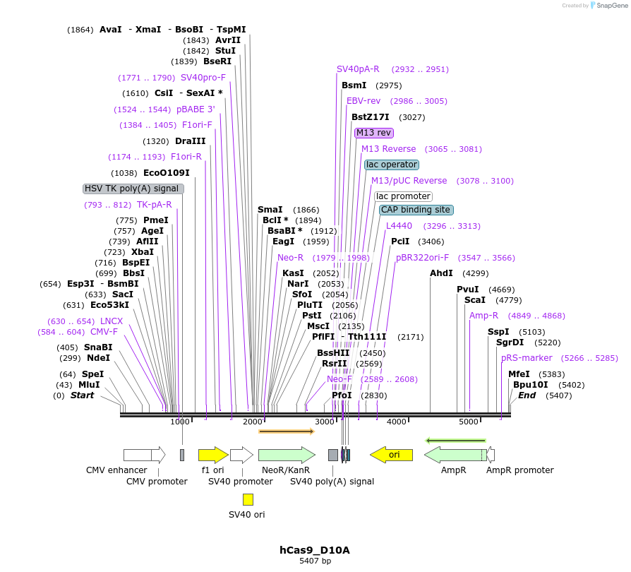 57070_map