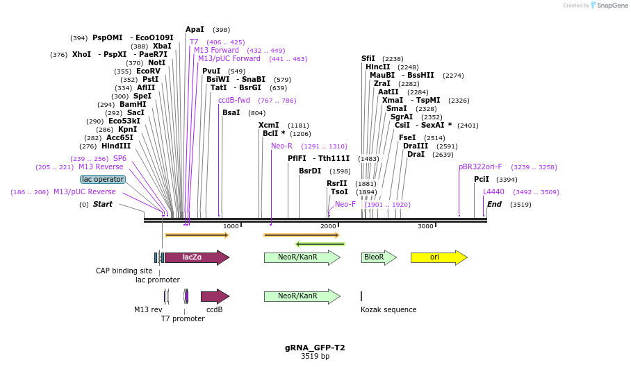 57075_map