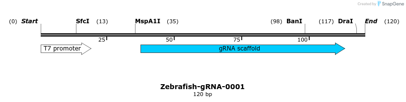 57081_map
