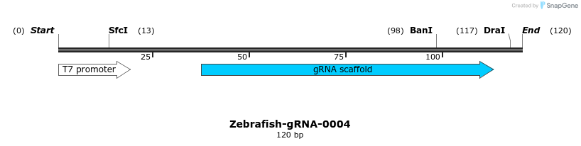 57084_map