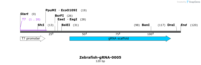 57085_map