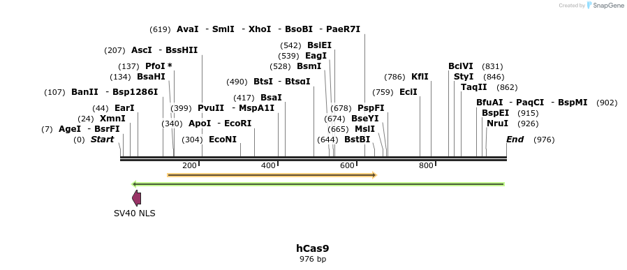 57091_map