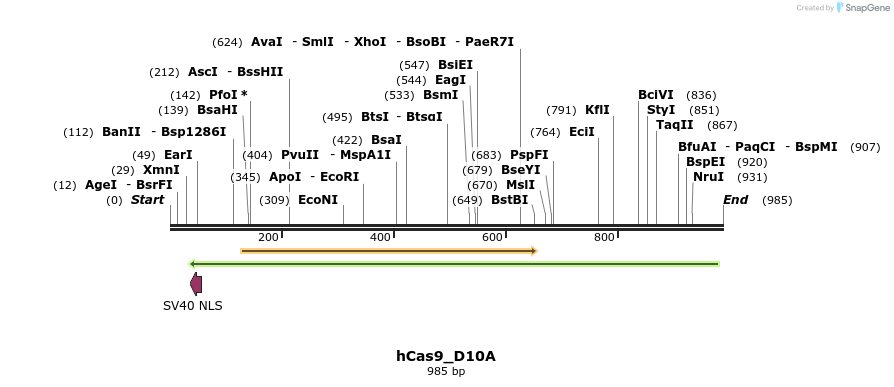 57093_map