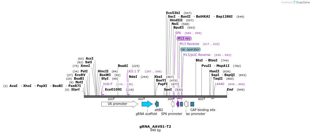 57096_map