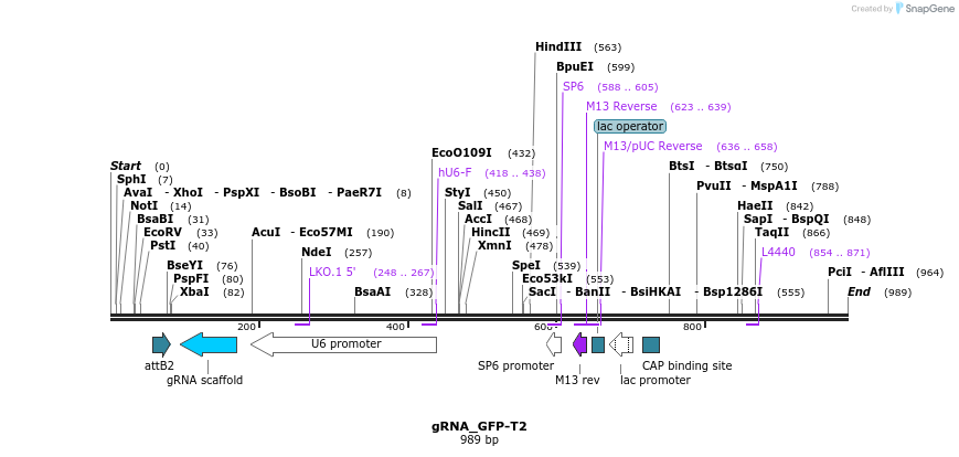 57098_map