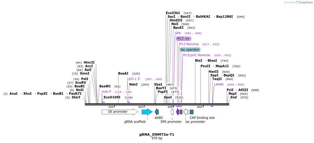 57099_map