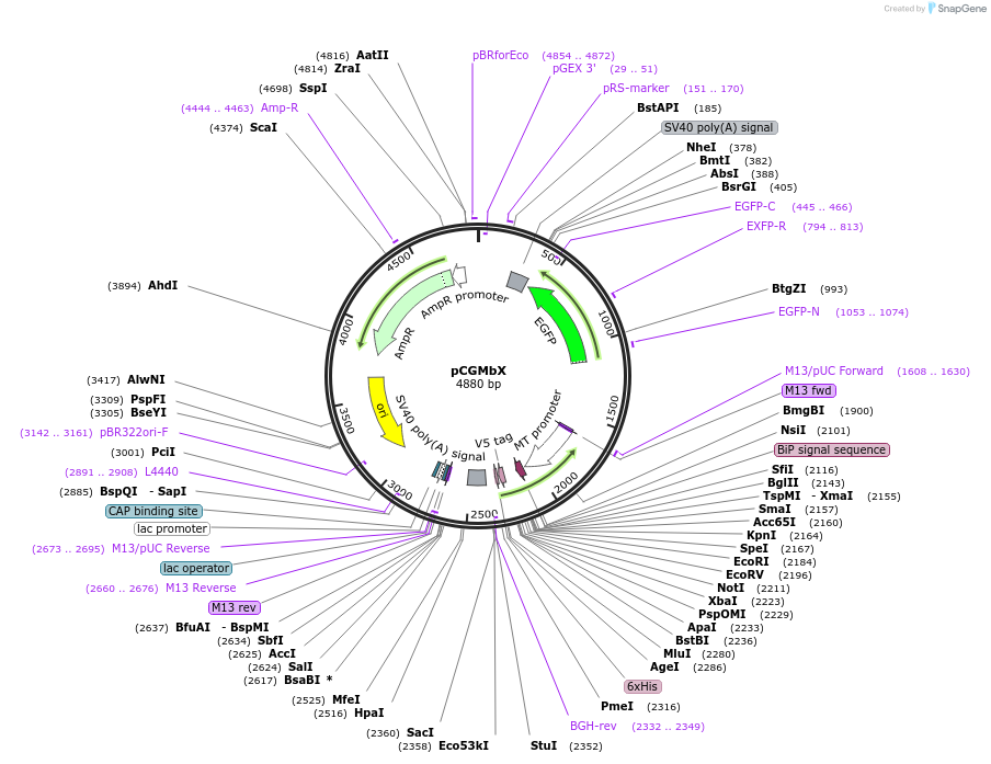 57104_map