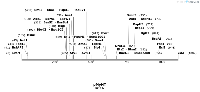 57106_map
