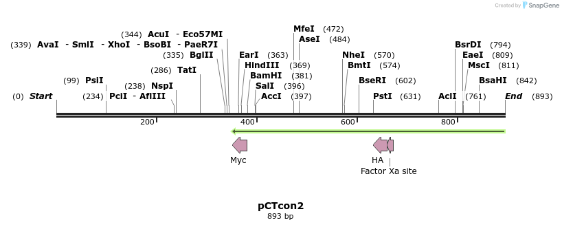 57107_map