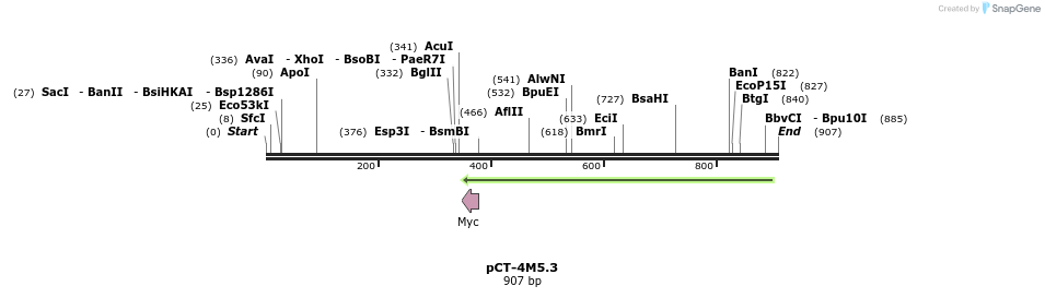 57108_map